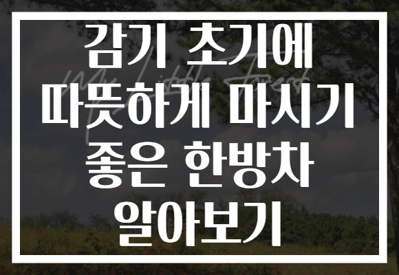 감기 초기에 따뜻하게 마시기 좋은 한방차 알아보기