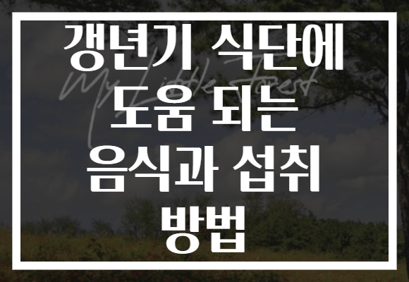 갱년기 식단에 도움 되는 음식과 섭취 방법