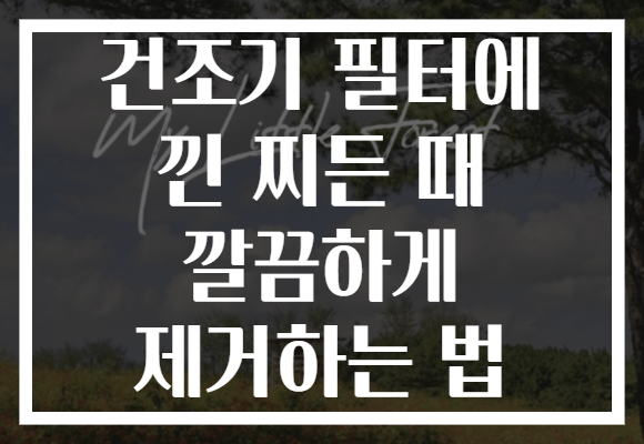 건조기 필터에 낀 찌든 때 깔끔하게 제거하는 법 건조기 필터에 낀 찌든 때 깔끔하게 제거하는 법