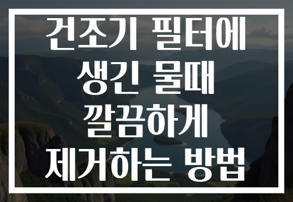 건조기 필터에 생긴 물때 깔끔하게 제거하는 방법 건조기 필터에 생긴 물때 깔끔하게 제거하는 방법