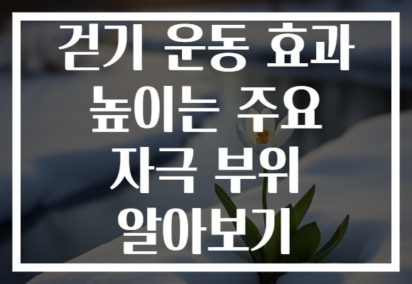 걷기 운동 효과 높이는 주요 자극 부위 알아보기 걷기 운동 효과 높이는 주요 자극 부위 알아보기