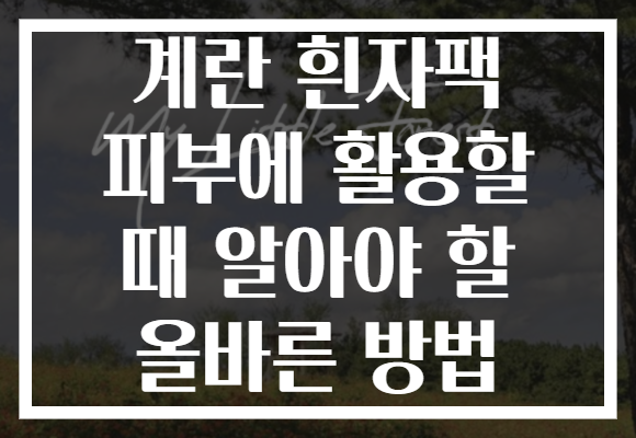 계란 흰자팩 피부에 활용할 때 알아야 할 올바른 방법 계란 흰자팩 피부에 활용할 때 알아야 할 올바른 방법