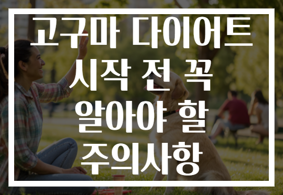 고구마 다이어트 시작 전 꼭 알아야 할 주의사항