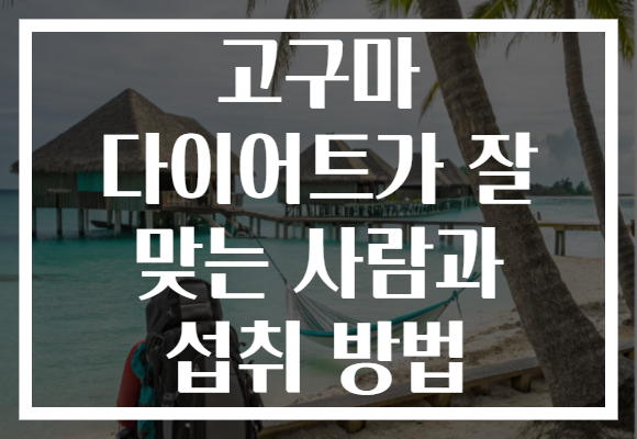 고구마 다이어트가 잘 맞는 사람과 섭취 방법