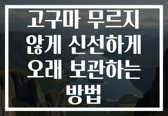 고구마 무르지 않게 신선하게 오래 보관하는 방법 고구마 무르지 않게 신선하게 오래 보관하는 방법