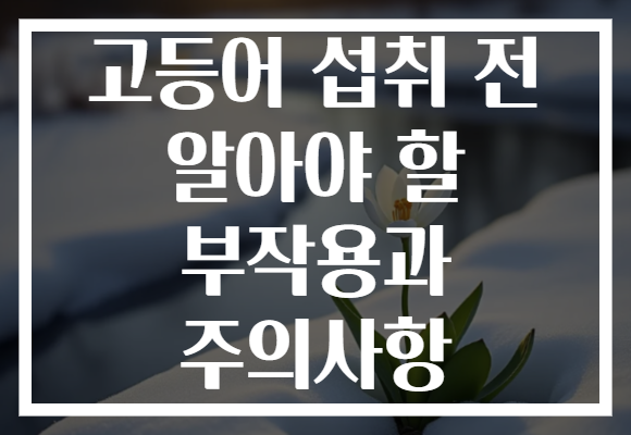 고등어 섭취 전 알아야 할 부작용과 주의사항 고등어 섭취 전 알아야 할 부작용과 주의사항
