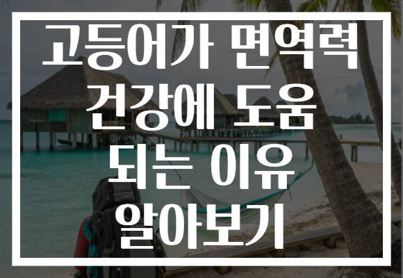 고등어가 면역력 건강에 도움 되는 이유 알아보기
