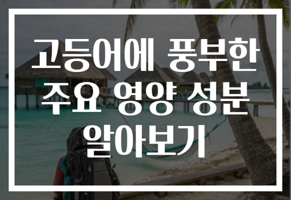 고등어에 풍부한 주요 영양 성분 알아보기 고등어에 풍부한 주요 영양 성분 알아보기