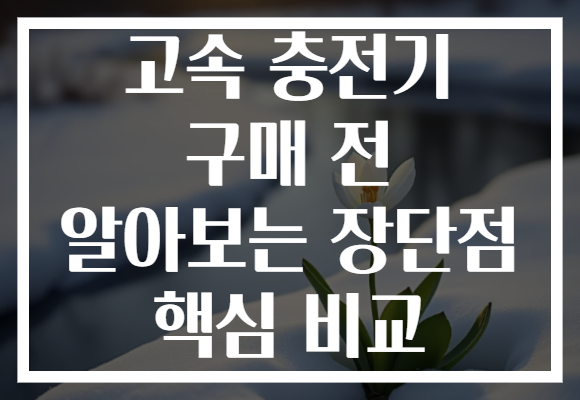 고속 충전기 구매 전 알아보는 장단점 핵심 비교