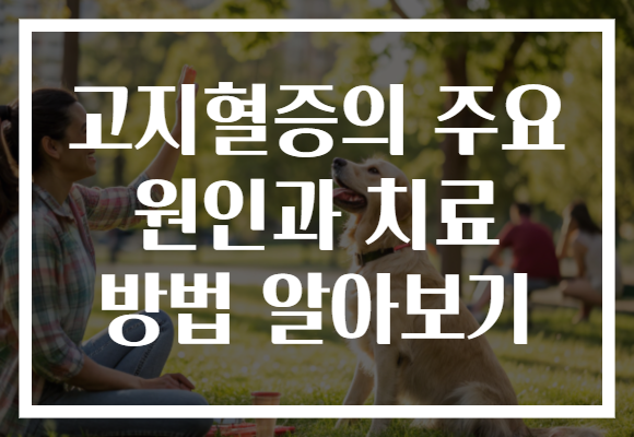 고지혈증의 주요 원인과 치료 방법 알아보기 고지혈증의 주요 원인과 치료 방법 알아보기