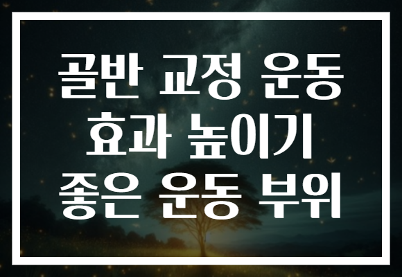 골반 교정 운동 효과 높이기 좋은 운동 부위