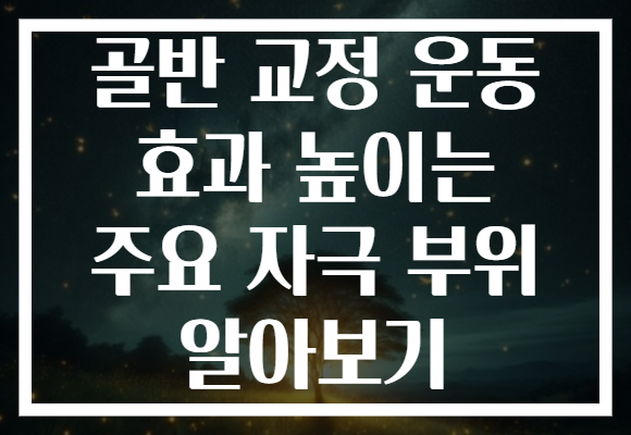 골반 교정 운동 효과 높이는 주요 자극 부위 알아보기 골반 교정 운동 효과 높이는 주요 자극 부위 알아보기
