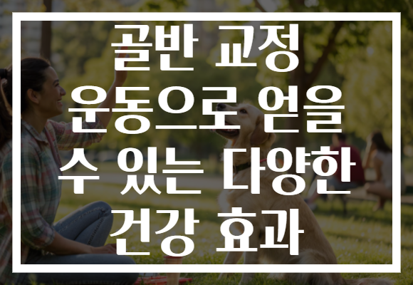 골반 교정 운동으로 얻을 수 있는 다양한 건강 효과