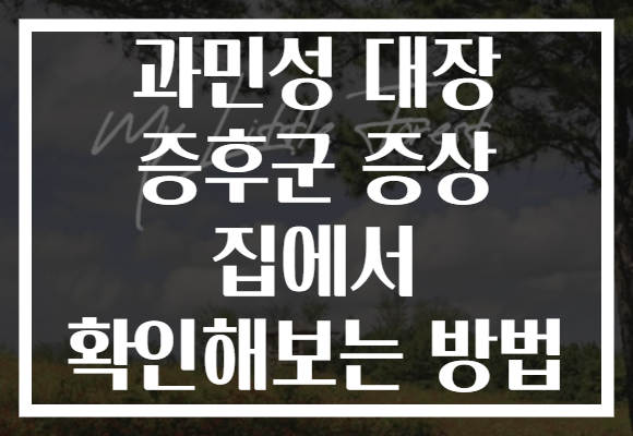 과민성 대장 증후군 증상 집에서 확인해보는 방법