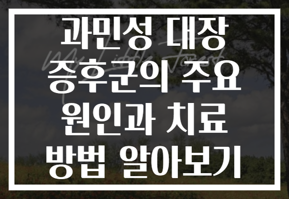 과민성 대장 증후군의 주요 원인과 치료 방법 알아보기 과민성 대장 증후군의 주요 원인과 치료 방법 알아보기