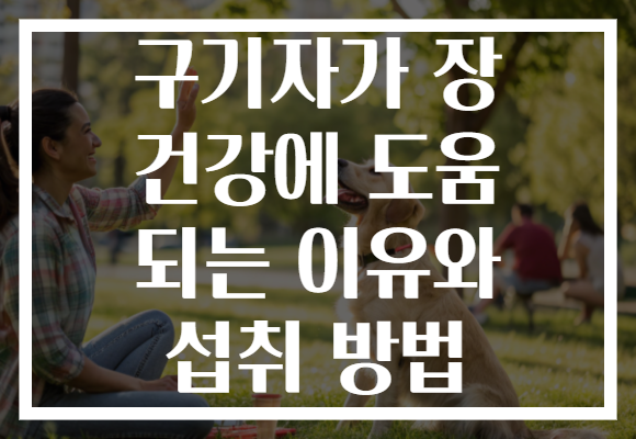 구기자가 장 건강에 도움 되는 이유와 섭취 방법 구기자가 장 건강에 도움 되는 이유와 섭취 방법