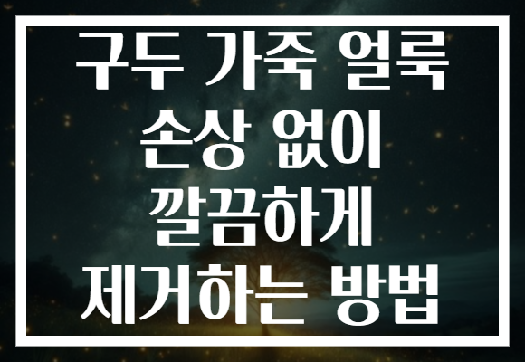 구두 가죽 얼룩 손상 없이 깔끔하게 제거하는 방법