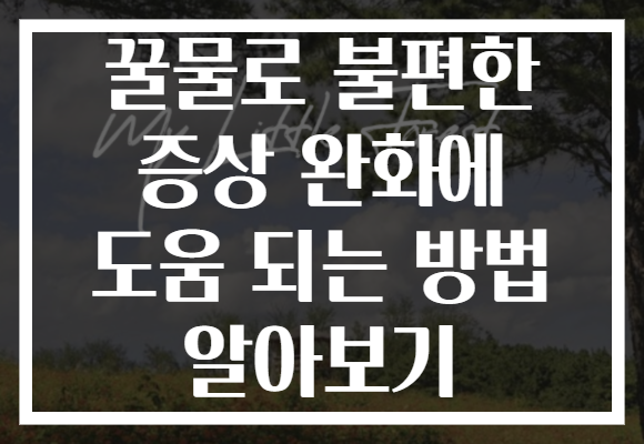 꿀물로 불편한 증상 완화에 도움 되는 방법 알아보기 꿀물로 불편한 증상 완화에 도움 되는 방법 알아보기