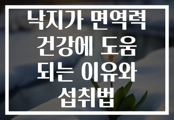 낙지가 면역력 건강에 도움 되는 이유와 섭취법