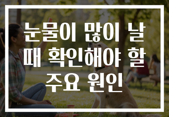 눈물이 많이 날 때 확인해야 할 주요 원인