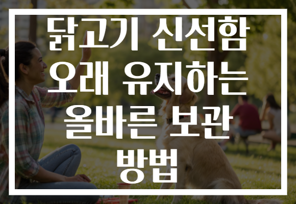 닭고기 신선함 오래 유지하는 올바른 보관 방법