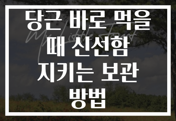 당근 바로 먹을 때 신선함 지키는 보관 방법