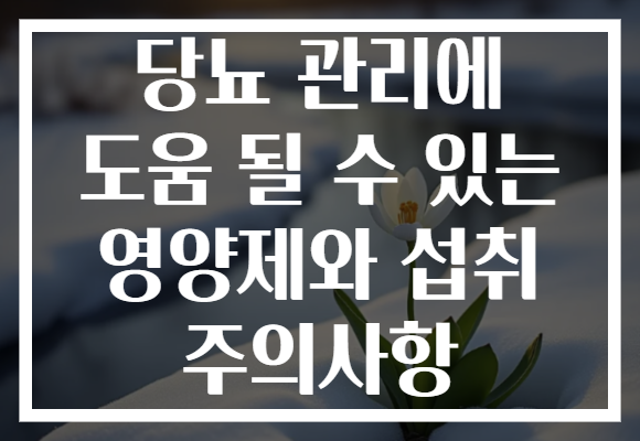 당뇨 관리에 도움 될 수 있는 영양제와 섭취 주의사항 당뇨 관리에 도움 될 수 있는 영양제와 섭취 주의사항