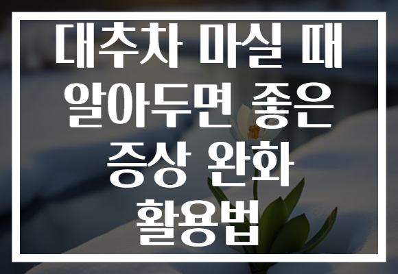 대추차 마실 때 알아두면 좋은 증상 완화 활용법