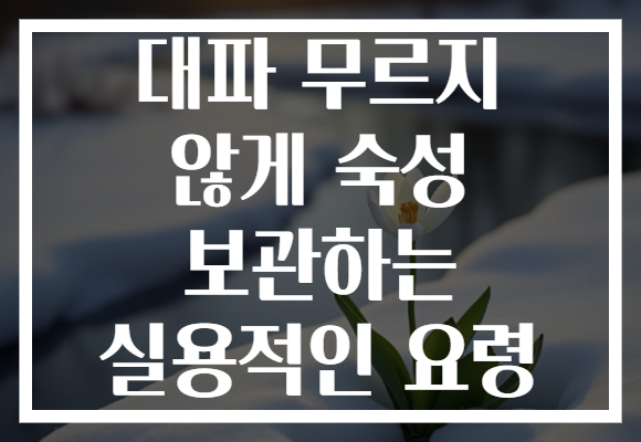 대파 무르지 않게 숙성 보관하는 실용적인 요령 대파 무르지 않게 숙성 보관하는 실용적인 요령