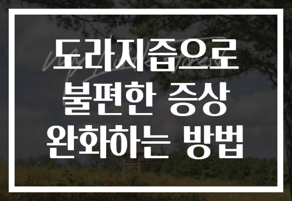 도라지즙으로 불편한 증상 완화하는 방법