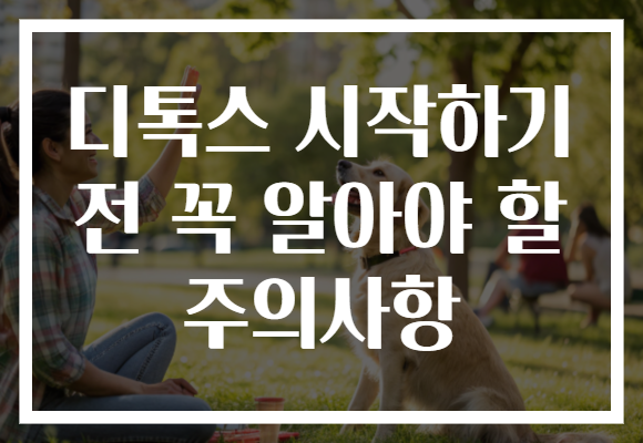 디톡스 시작하기 전 꼭 알아야 할 주의사항