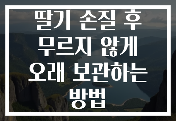 딸기 손질 후 무르지 않게 오래 보관하는 방법 딸기 손질 후 무르지 않게 오래 보관하는 방법