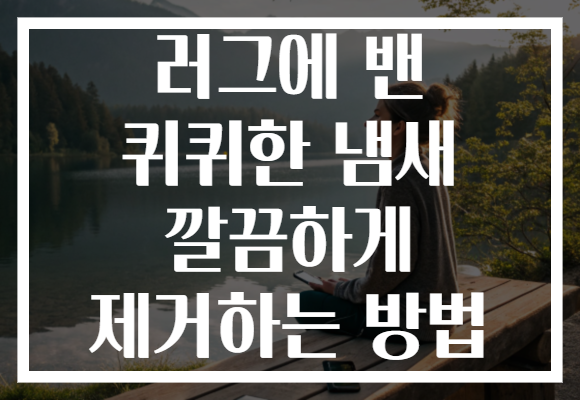 러그에 밴 퀴퀴한 냄새 깔끔하게 제거하는 방법