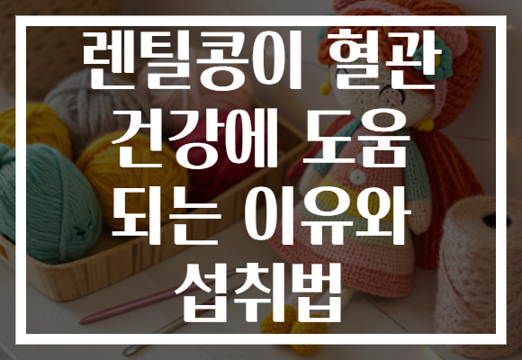 렌틸콩이 혈관 건강에 도움 되는 이유와 섭취법 렌틸콩이 혈관 건강에 도움 되는 이유와 섭취법