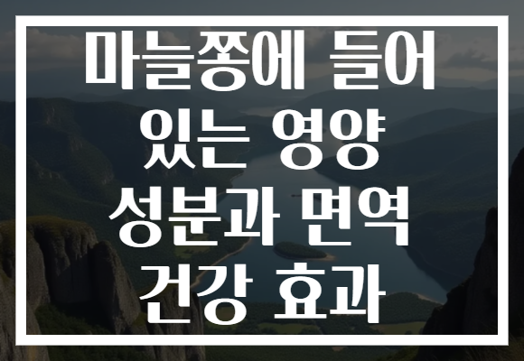 마늘쫑에 들어 있는 영양 성분과 면역 건강 효과