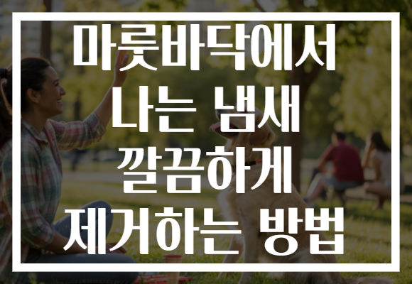 마룻바닥에서 나는 냄새 깔끔하게 제거하는 방법 마룻바닥에서 나는 냄새 깔끔하게 제거하는 방법