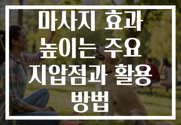 마사지 효과 높이는 주요 지압점과 활용 방법