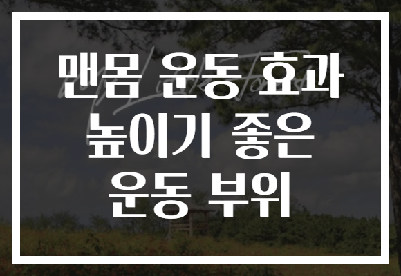 맨몸 운동 효과 높이기 좋은 운동 부위 맨몸 운동 효과 높이기 좋은 운동 부위