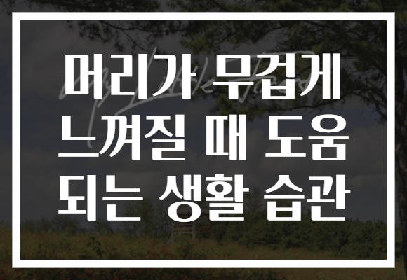 머리가 무겁게 느껴질 때 도움 되는 생활 습관 머리가 무겁게 느껴질 때 도움 되는 생활 습관