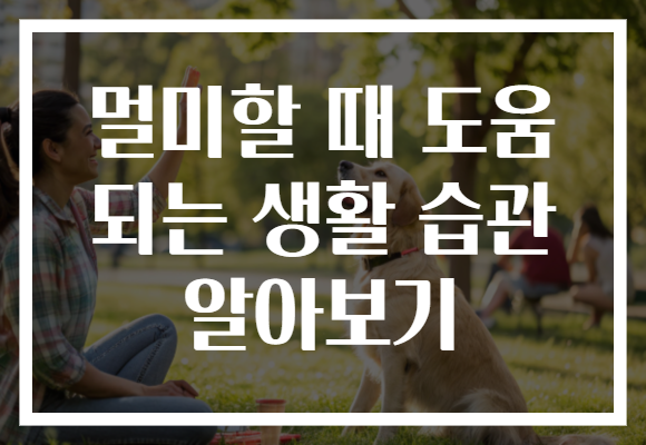 멀미할 때 도움 되는 생활 습관 알아보기 멀미할 때 도움 되는 생활 습관 알아보기