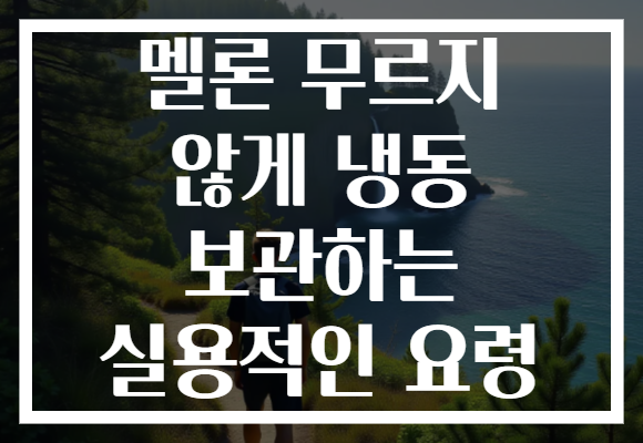 멜론 무르지 않게 냉동 보관하는 실용적인 요령