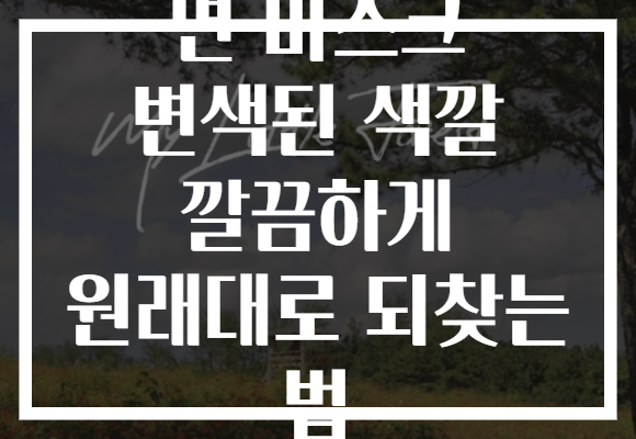 면 마스크 변색된 색깔 깔끔하게 원래대로 되찾는 법