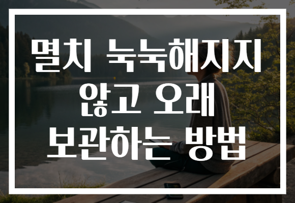멸치 눅눅해지지 않고 오래 보관하는 방법 멸치 눅눅해지지 않고 오래 보관하는 방법