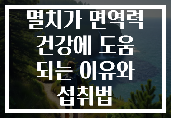 멸치가 면역력 건강에 도움 되는 이유와 섭취법 멸치가 면역력 건강에 도움 되는 이유와 섭취법