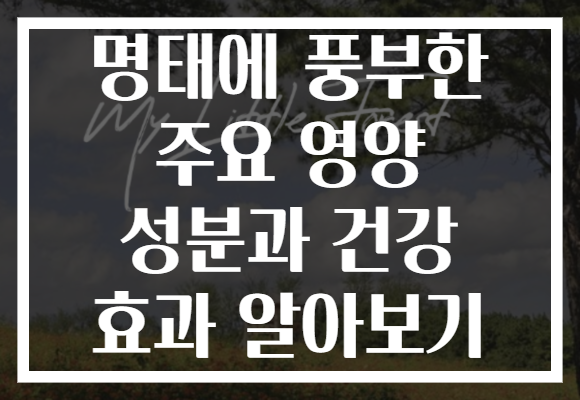 명태에 풍부한 주요 영양 성분과 건강 효과 알아보기 명태에 풍부한 주요 영양 성분과 건강 효과 알아보기