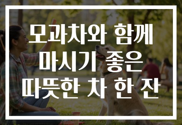 모과차와 함께 마시기 좋은 따뜻한 차 한 잔 모과차와 함께 마시기 좋은 따뜻한 차 한 잔
