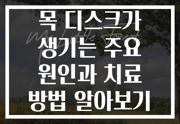목 디스크가 생기는 주요 원인과 치료 방법 알아보기 목 디스크가 생기는 주요 원인과 치료 방법 알아보기
