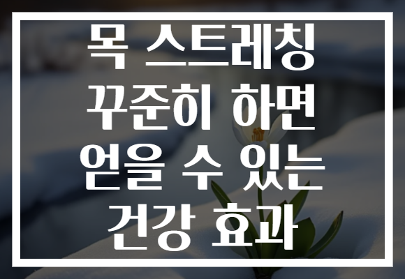 목 스트레칭 꾸준히 하면 얻을 수 있는 건강 효과 목 스트레칭 꾸준히 하면 얻을 수 있는 건강 효과