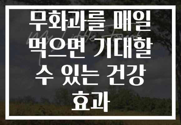 무화과를 매일 먹으면 기대할 수 있는 건강 효과