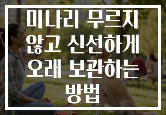 미나리 무르지 않고 신선하게 오래 보관하는 방법
